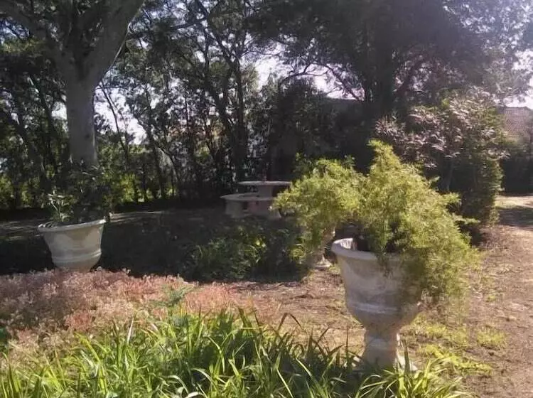 Nature Houses