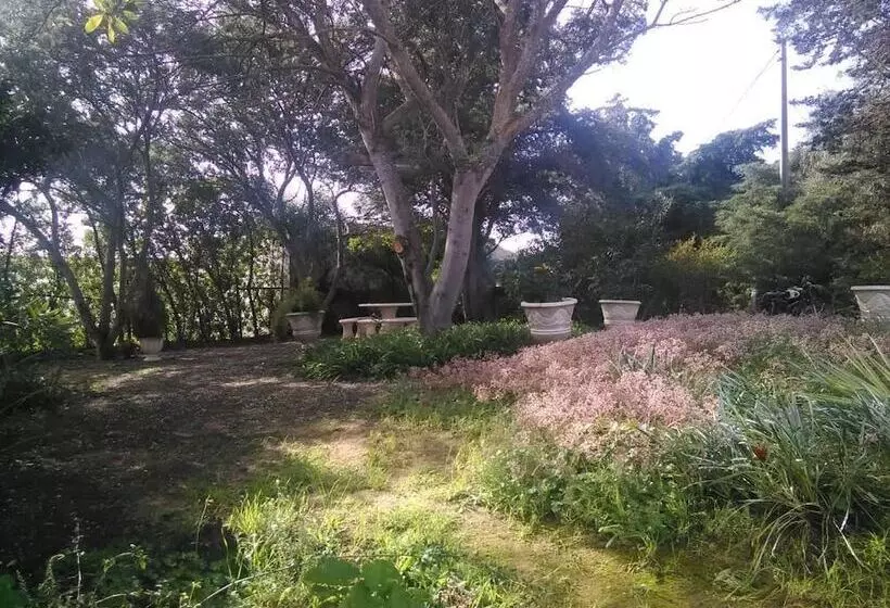 Nature Houses
