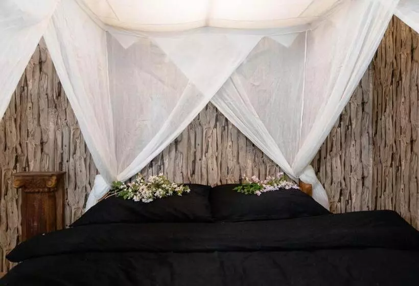 Apartment Schwarz Waldperle