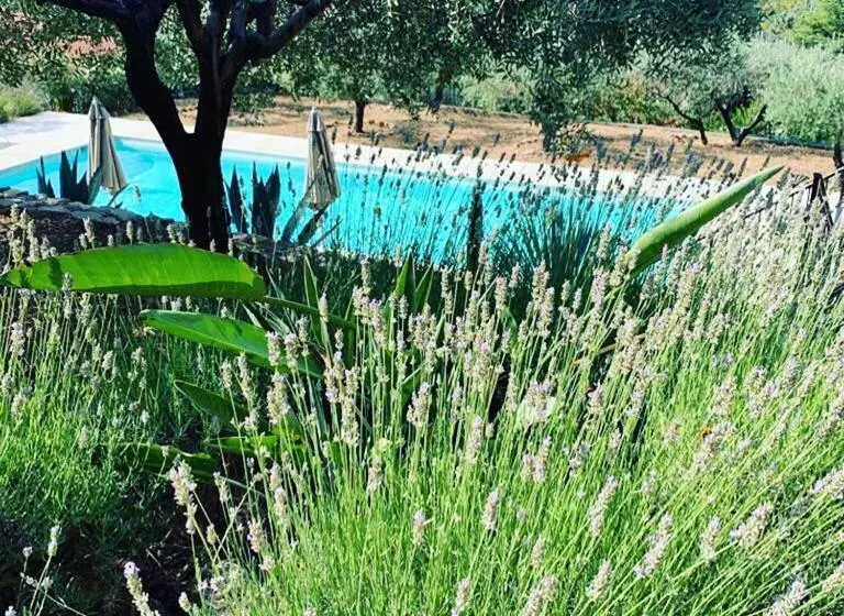 Aamiaismajoitus (B&B) Le Clos En Provence