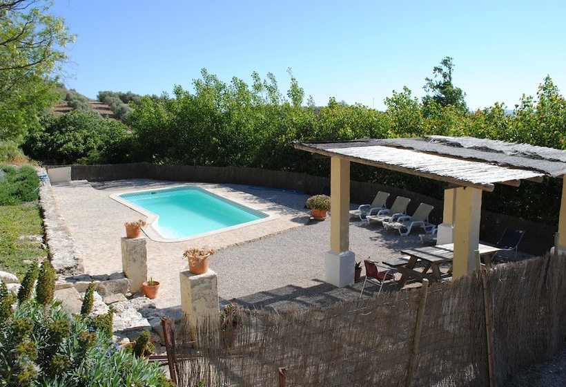 La Escuela Del Campo