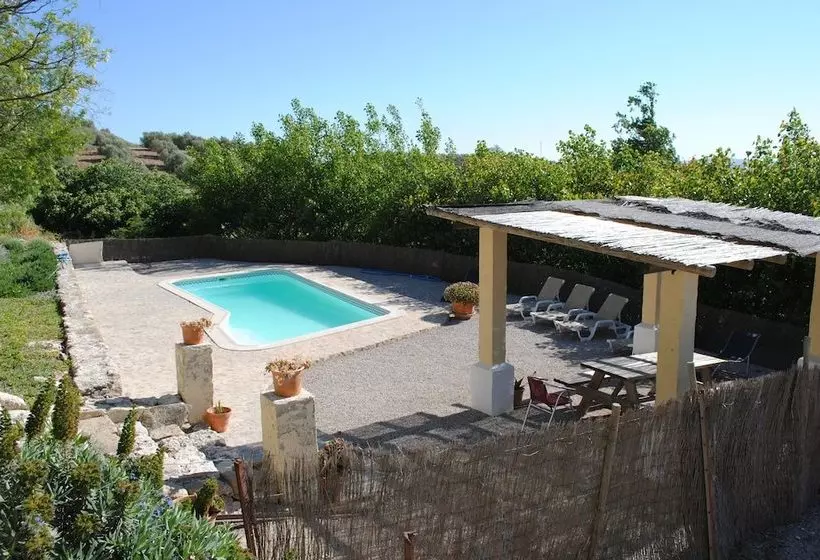 La Escuela Del Campo