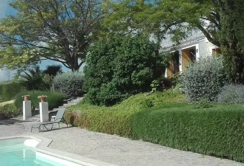 La Escuela Del Campo