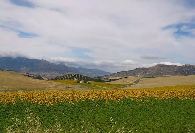 La Escuela Del Campo