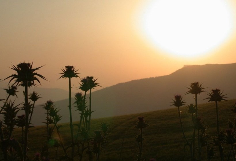 La Escuela Del Campo