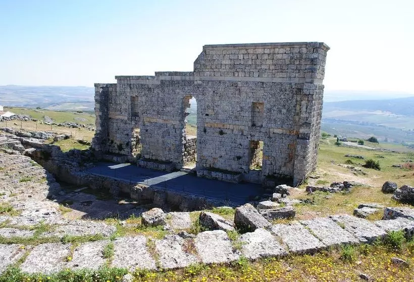 La Escuela Del Campo