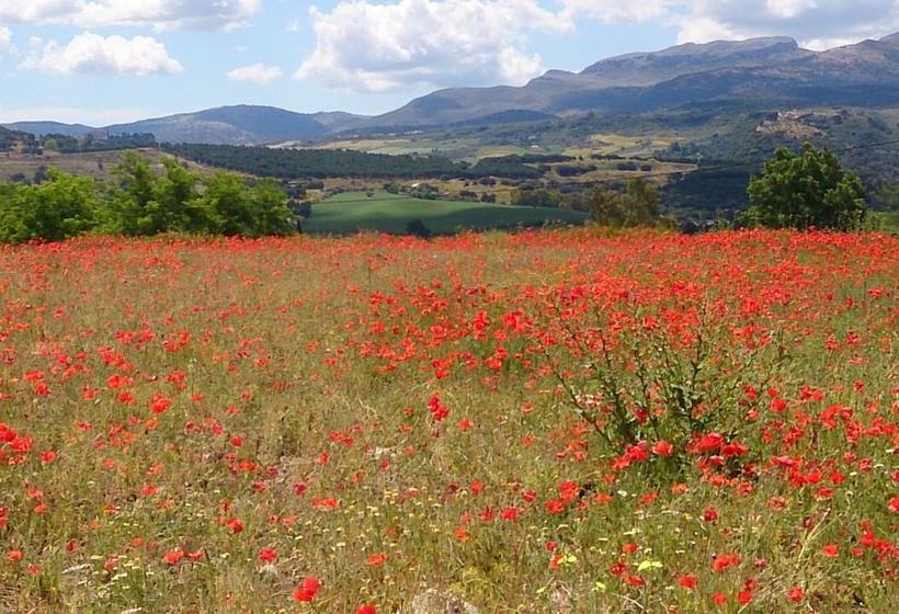 La Escuela Del Campo