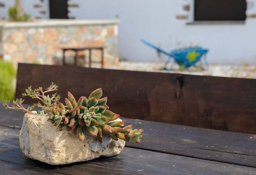 Traditional Apartments Madares