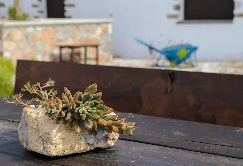 Traditional Apartments Madares