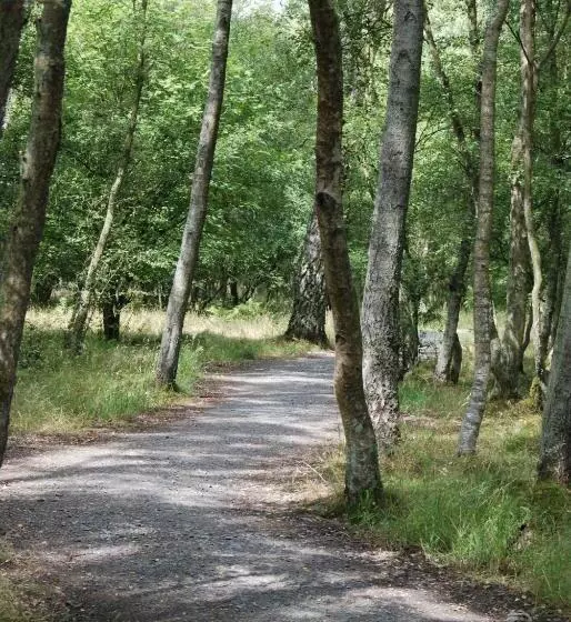 Carvetii   Kings House   20mins To Edinburgh