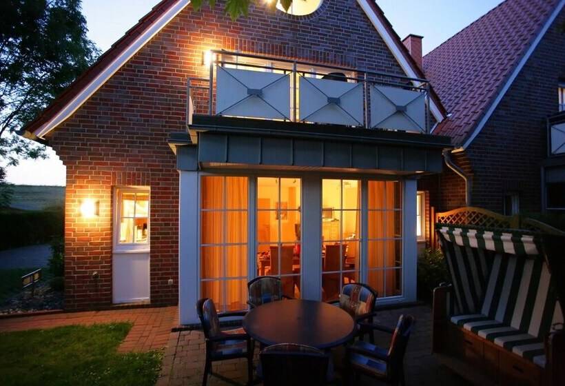 Lachmöwe Im Möwennest Greetsiel