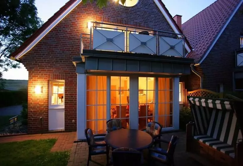 Lachmöwe Im Möwennest Greetsiel