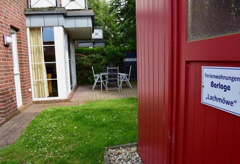 Lachmöwe Im Möwennest Greetsiel