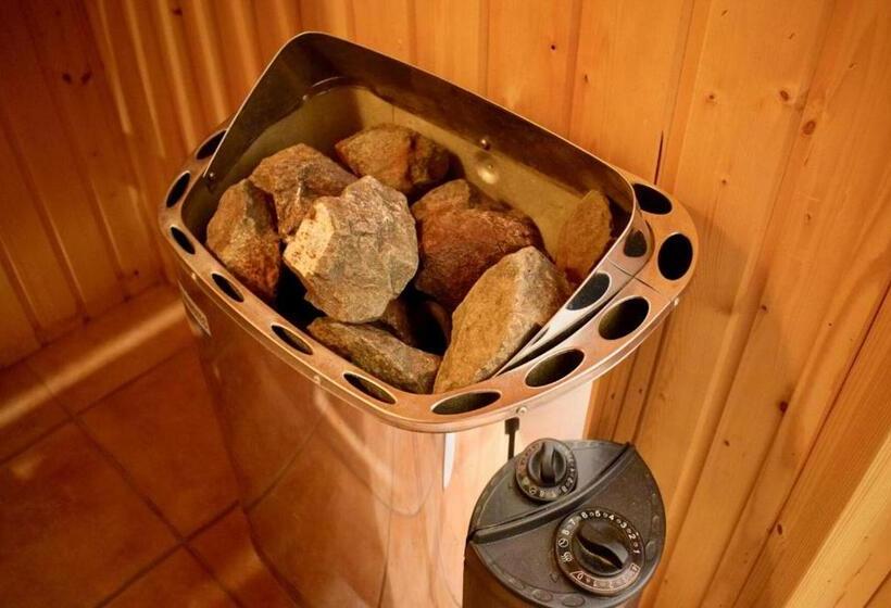 Lachmöwe Im Möwennest Greetsiel