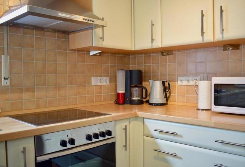 Lachmöwe Im Möwennest Greetsiel