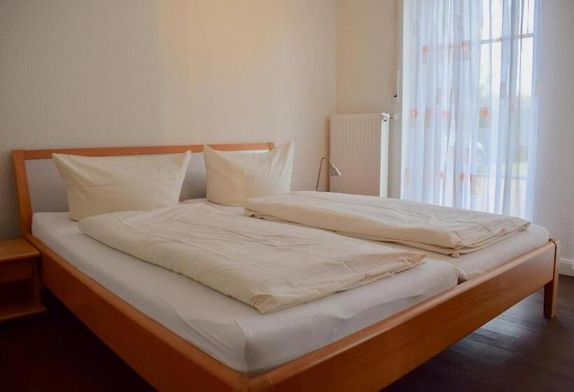 Lachmöwe Im Möwennest Greetsiel