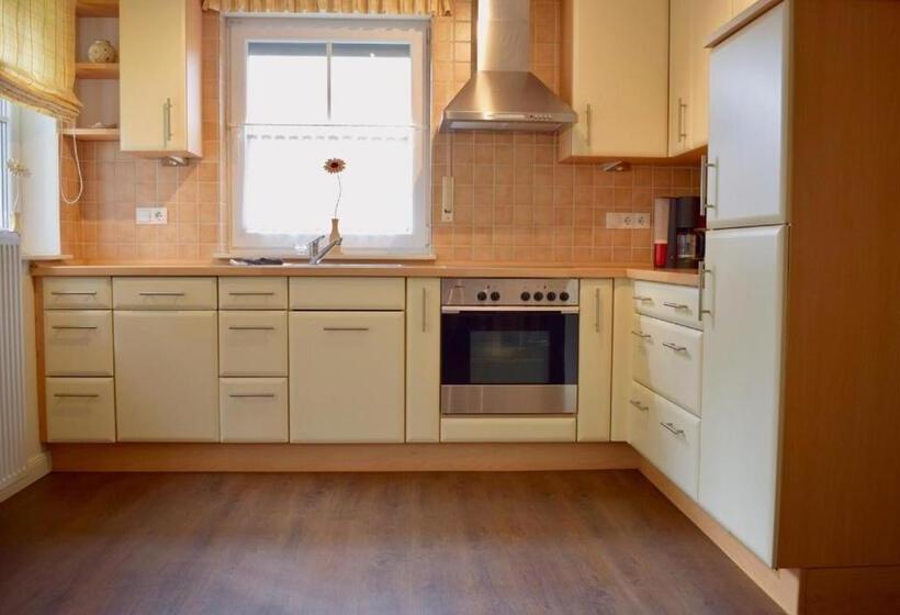 Lachmöwe Im Möwennest Greetsiel