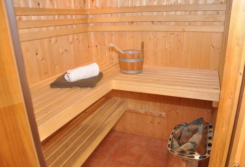 Lachmöwe Im Möwennest Greetsiel