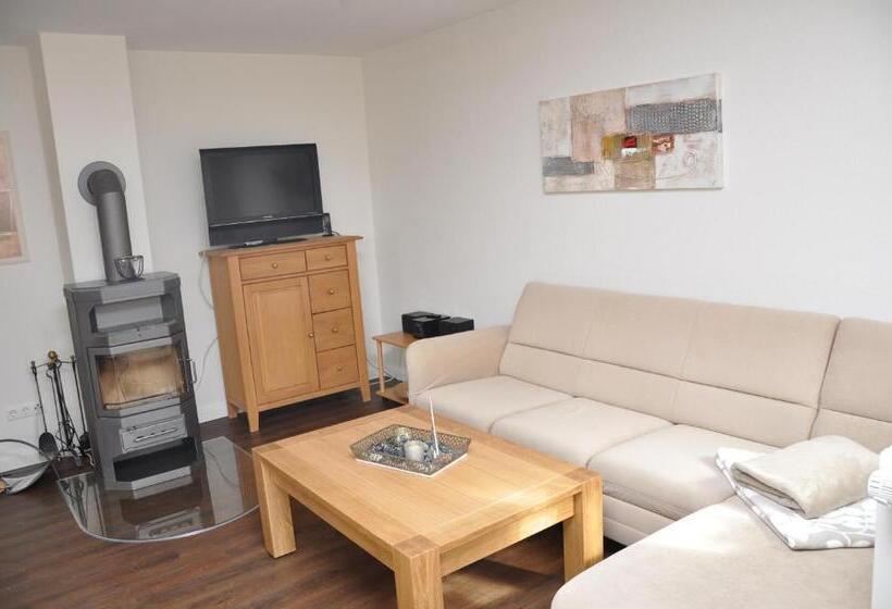 Lachmöwe Im Möwennest Greetsiel