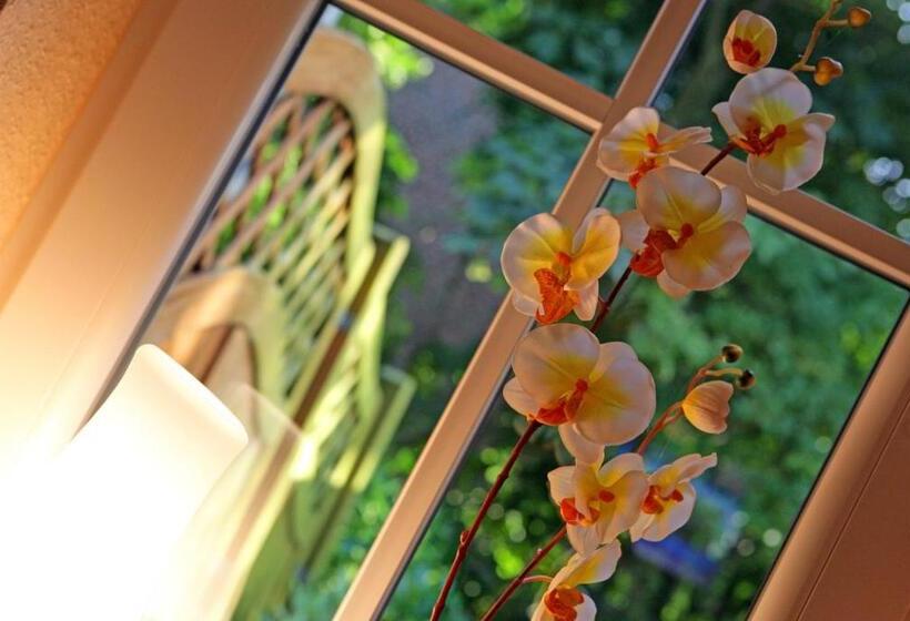 Lachmöwe Im Möwennest Greetsiel