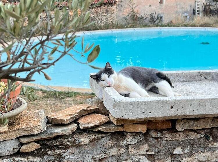 ホテル Ecolodge Mombret Haut