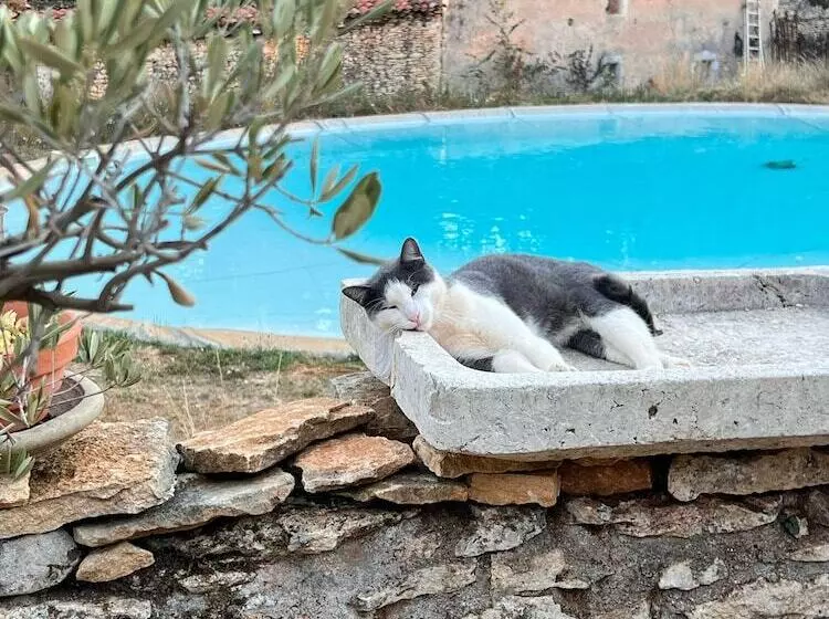 Hotelli Ecolodge Mombret Haut