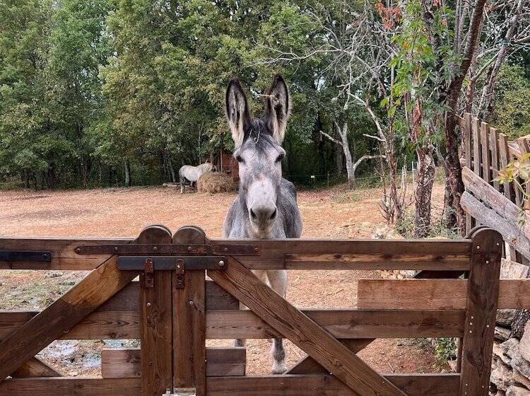 ホテル Ecolodge Mombret Haut