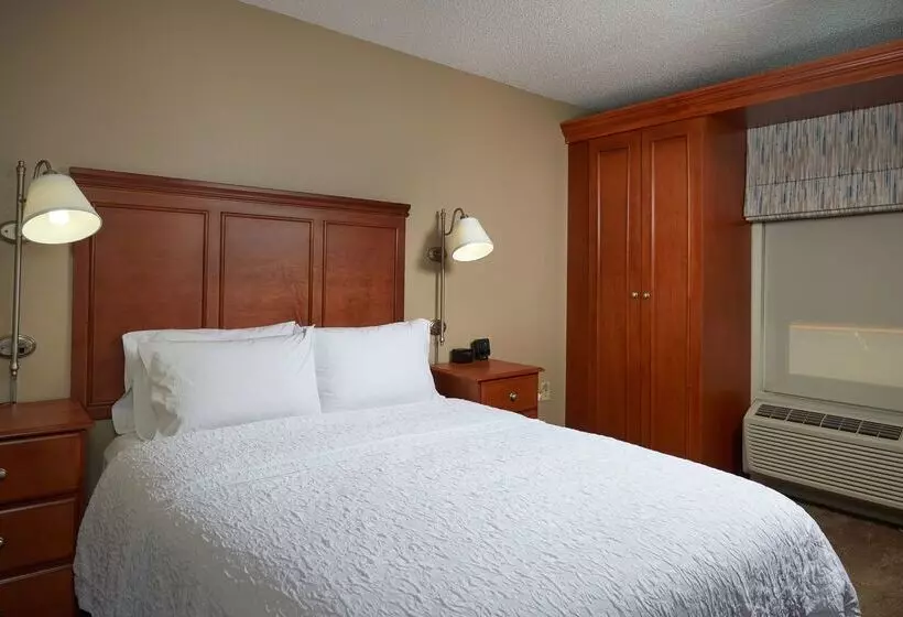 ホテル Hampton Inn Ann Arborsouth