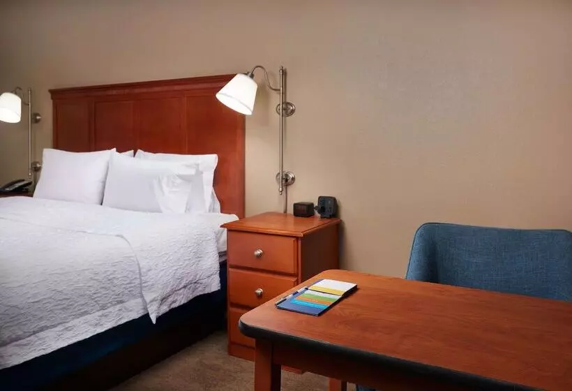 ホテル Hampton Inn Ann Arborsouth