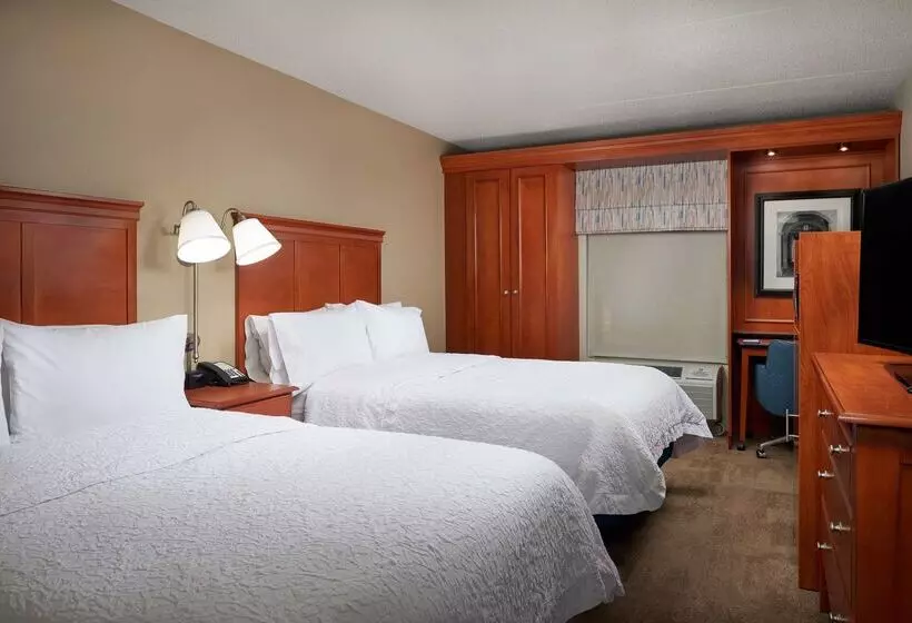 ホテル Hampton Inn Ann Arborsouth