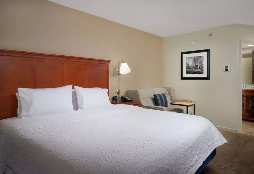 ホテル Hampton Inn Ann Arborsouth