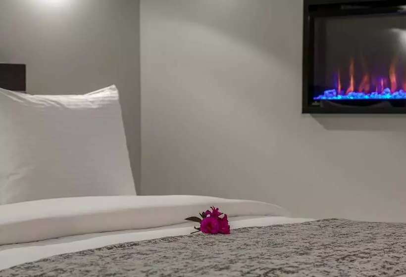 酒店 Harbor View Inn