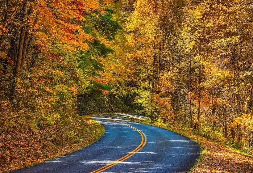 Haywood Park Hotel, Ascend Hotel Collection