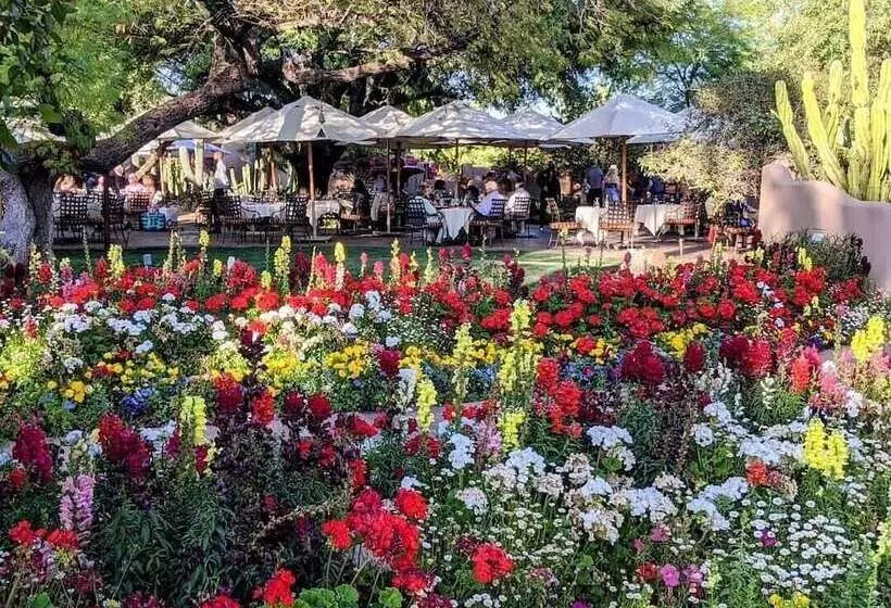 فندق The Hermosa Inn