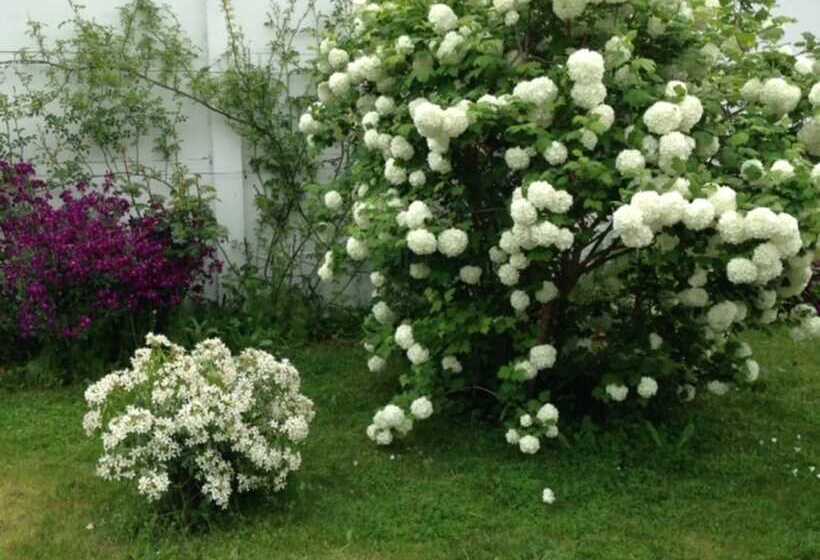 تختخواب و صبحانه Chambres D Hôtes Des Tourelles