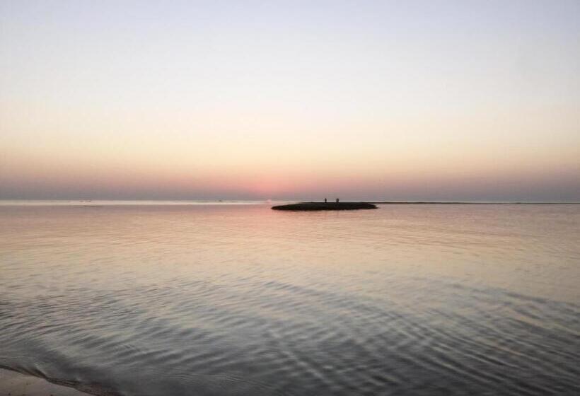 פונדק Slowlife Beach