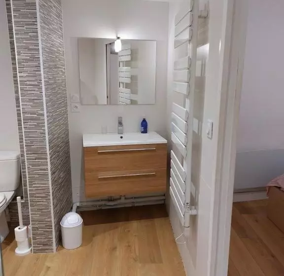 Le Denyspuech 55m2 Plein Centre Avec Jardin!
