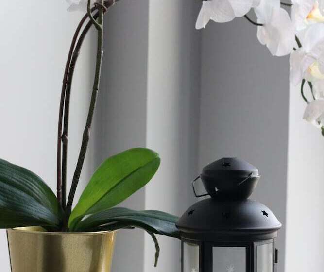 4b Loft Penthouse Industrial Decor With Canal & City Views