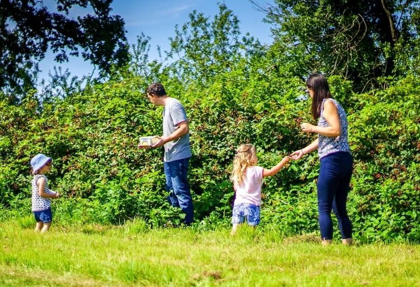 Hotel Grey Willow Yurts