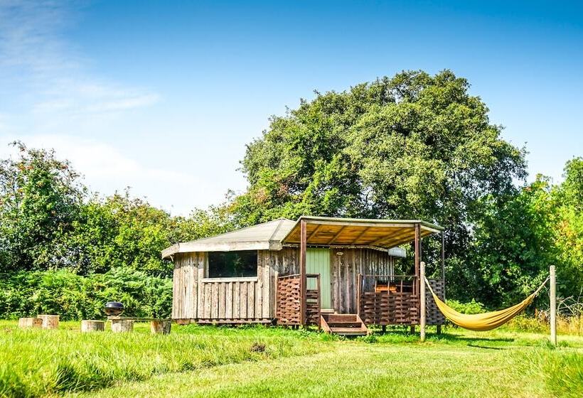 Hotel Grey Willow Yurts