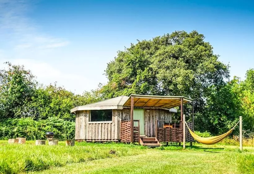 Hotel Grey Willow Yurts