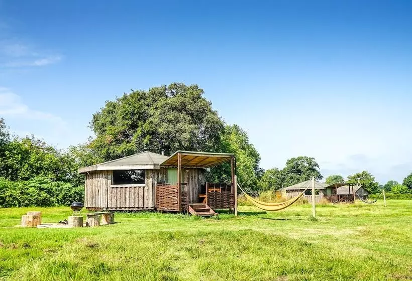 Hotel Grey Willow Yurts