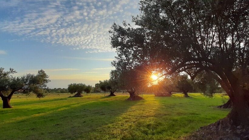 Villa Elaionas 1 Experiencing Nature S Tranquility!