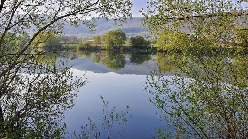 Ferienwohnungen Zum Niederberg