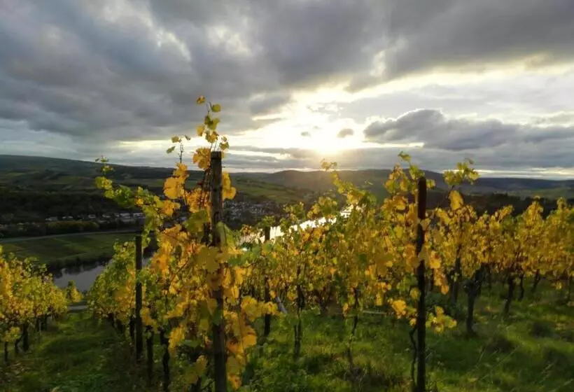Ferienwohnungen Zum Niederberg