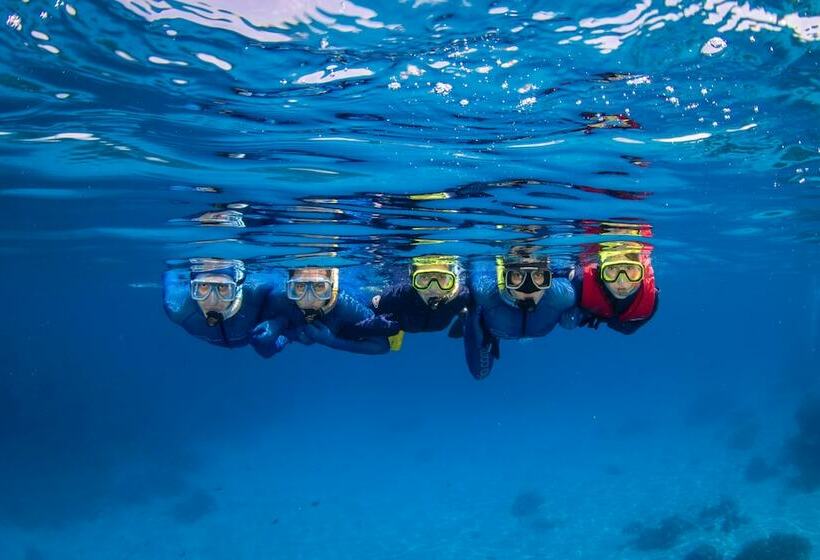 호텔 Reef Encounter