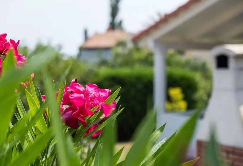Villa Mirta