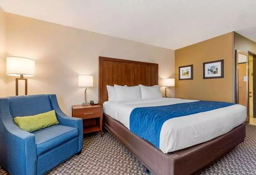 ホテル Comfort Inn & Suites Near Route 66