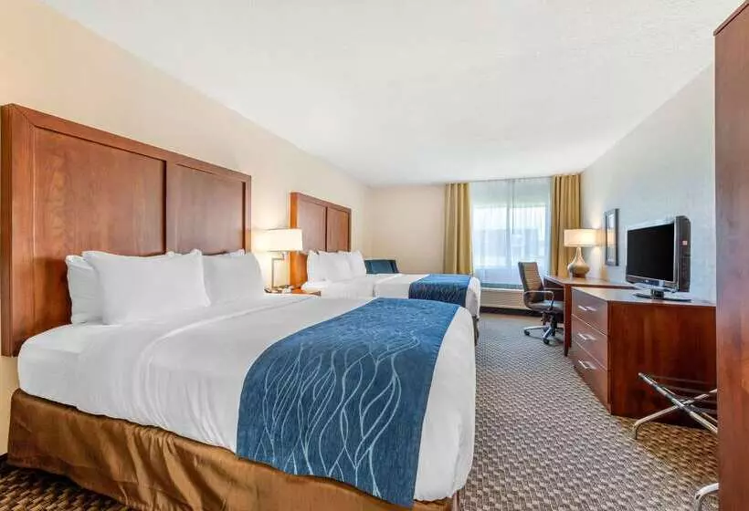 ホテル Comfort Inn & Suites Near Route 66