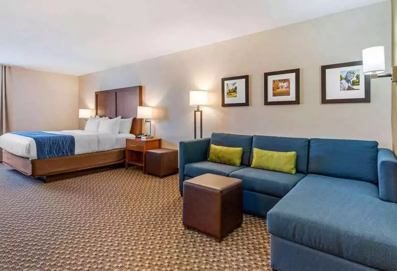 ホテル Comfort Inn & Suites Near Route 66